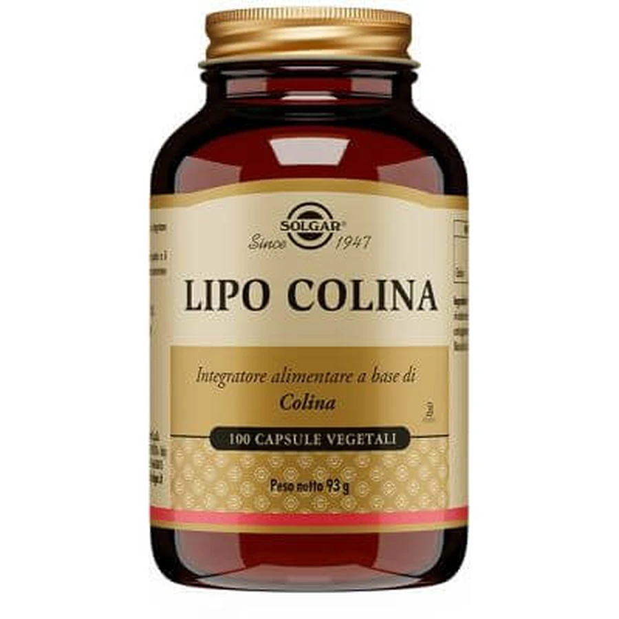 Lipo Choline 100 vegetarian capsules