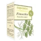 Fenchel 50 Kapseln