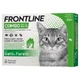 Frontline