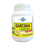 Garcinia cambogia forte 60 Kapseln