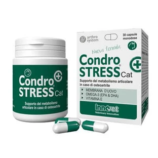 Condrostress + cat 30 capsules unidoses