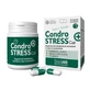 Condrostress + cat 30 single-dose capsules