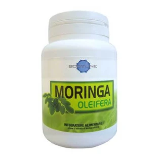 Moringa oleifera 60 capsules