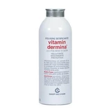 Vitamindermine silk powder 100 g