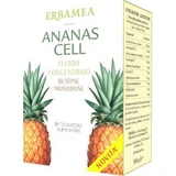 Concentré liquide de cellules d'ananas 15 sachets 20 ml