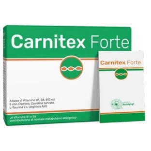 Carnitex forte 14 sachets