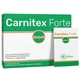 Carnitex forte 14 sachets