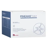 Pineans day 30 1800 mg orosoluble sachets