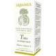 Tomillo quimiotipo timol 10 ml