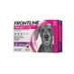 Frontline tri-act*6pip 20-40kg