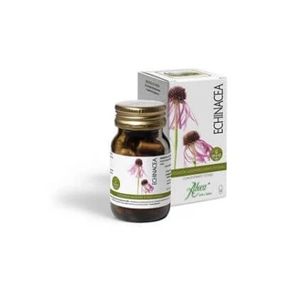 Echinacea Gesamtkonzentrat 50 Kapseln
