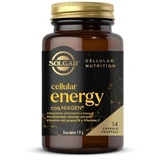 Energie celulară 14 capsule vegetariene