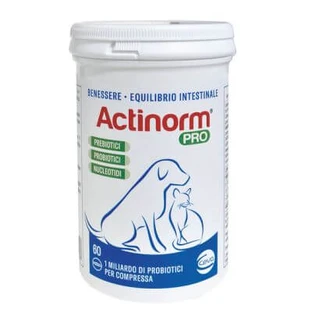 Actinorm pro Flasche 60 Tabletten