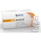 Md-muscle italia 10 vials for injection 2 ml
