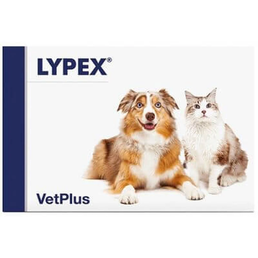 Lypex 60 capsules