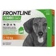 Frontline combo*3pip 2-10kg env.