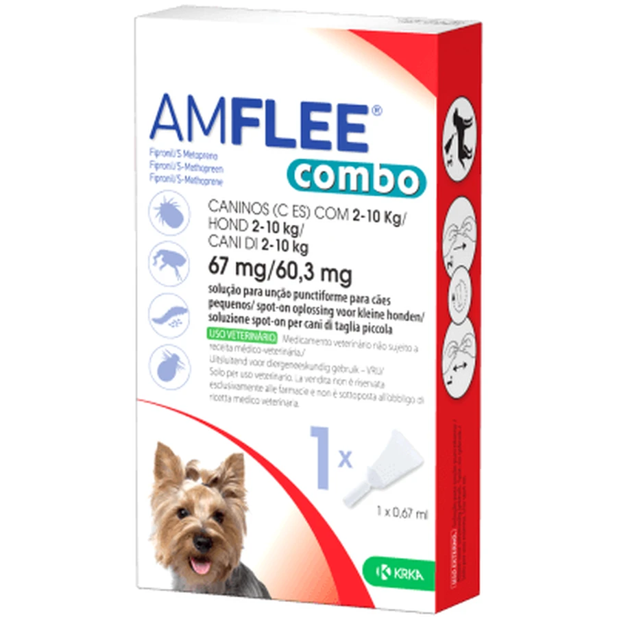 Amflee combo*1pip 2-10kg Hunde