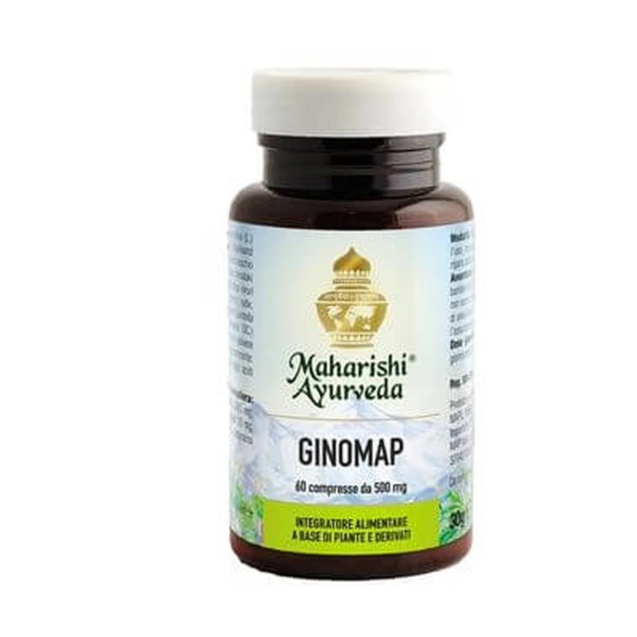 Ginomap 60 Tabletten