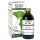 Ginkgo biloba-Extrakt ganz 200 ml