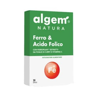 IJzer en foliumzuur 30 capsules