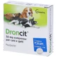 Droncit*2cpr 50mg