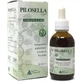 Pilosella benoit extract vloeistof 50 ml