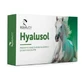 Hyalusol 10 viales monodosis 8 ml