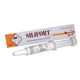 Silifort bone paste syringe 30 g