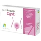Nutriregular cyste 20 capsules 500 mg