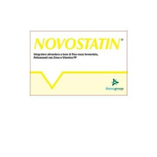 Novostatin 20 Tabletten