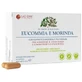 Eucommia morinda 60 cápsulas