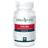 Garcinia cambogia 60 Kapseln 400 mg