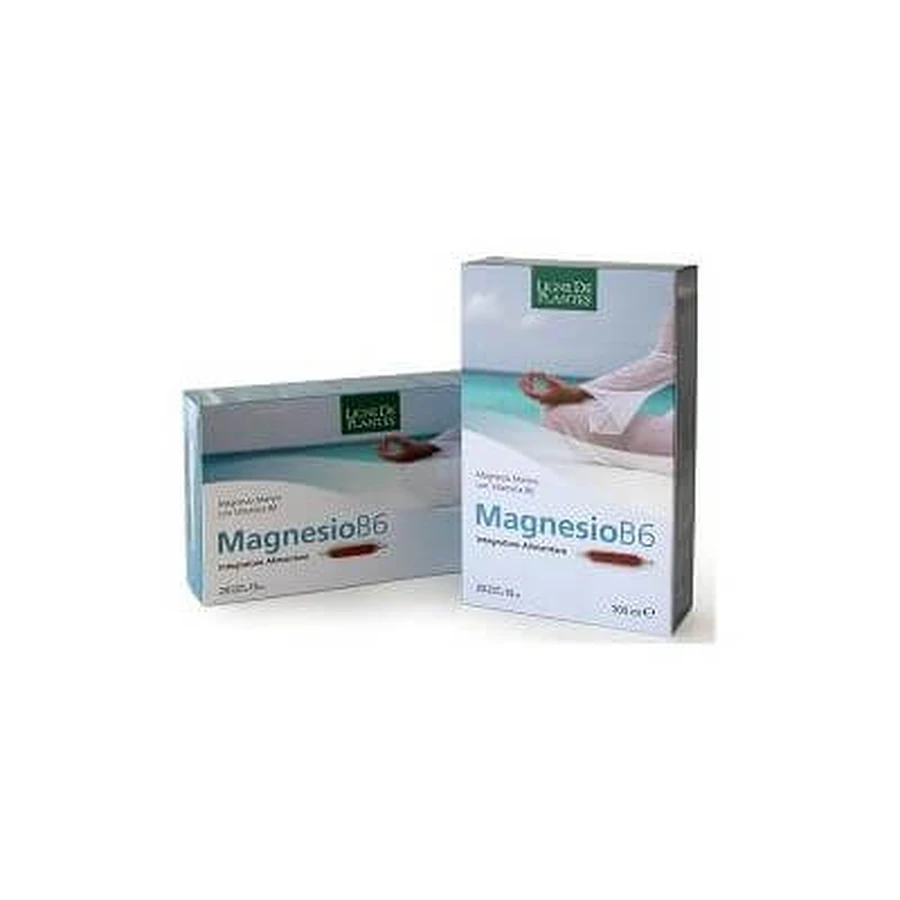 Magnesium b6 20 drinkable vials of 15 ml