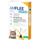 Amflee combo*1pip Katzen/Furett