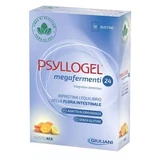 Psyllogel megafermenti 24 aghi 12 bustine 3 g