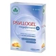 Psyllogel megaferments 24 needles 12 sachets 3 g