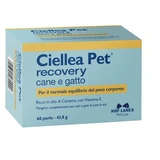 Ciellea pet recuperare blister 60 pearls