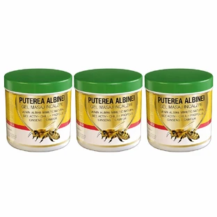 Gel de masaje calentador con veneno de abeja mimético Bee Power, 3x275 ml, Praemium