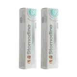 Oral antiseptic gel for dogs and cats Stomodine, 2x30 ml, ICF