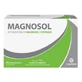 Magnosol 20 bruisende zakjes