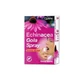Echinacea alkoholfreies Rachenspray 20ml