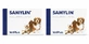 Samylin Small Breed, 2x30 compresse per il mantenimento della salute del fegato in cani e gatti <10 kg , VetPlus