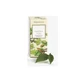 Fraxinus excels gemas gemoderivat bio 50 ml