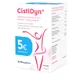 Cistidyn italia 14 sachets