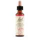 Étoile de Bethl orig 20 ml