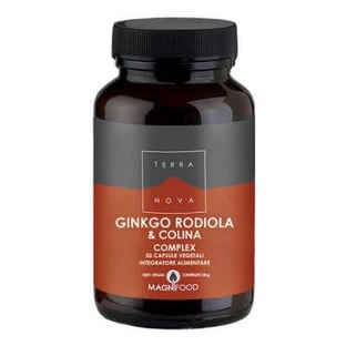 Complexe Terre-Neuve ginkgo/rhodiola/choline 50 gélules