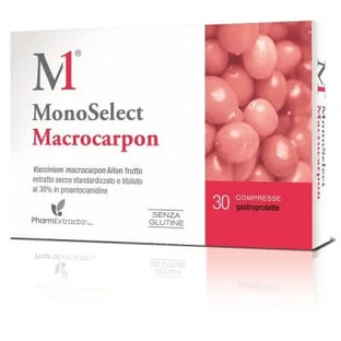 Monoselect macrocarpon 30 comprimidos gastroprotect