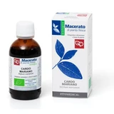 Mother tincture of milk thistle 50 ml organic