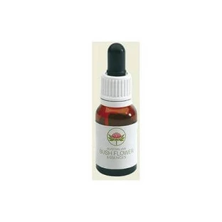 Spinifex australisch 15 ml druppels