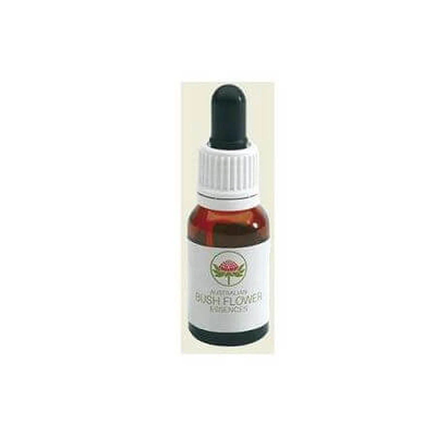 Spinifex australisch 15 ml druppels